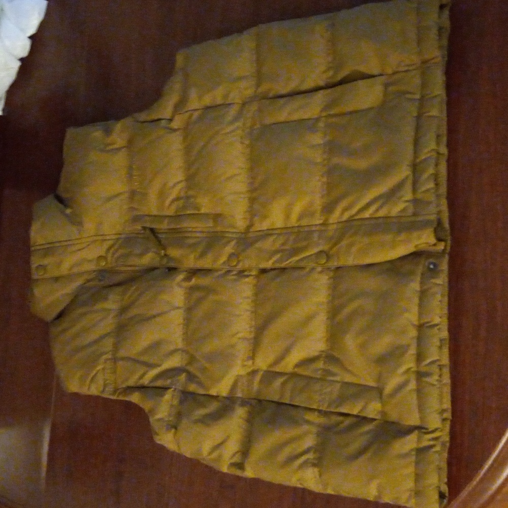 Vest